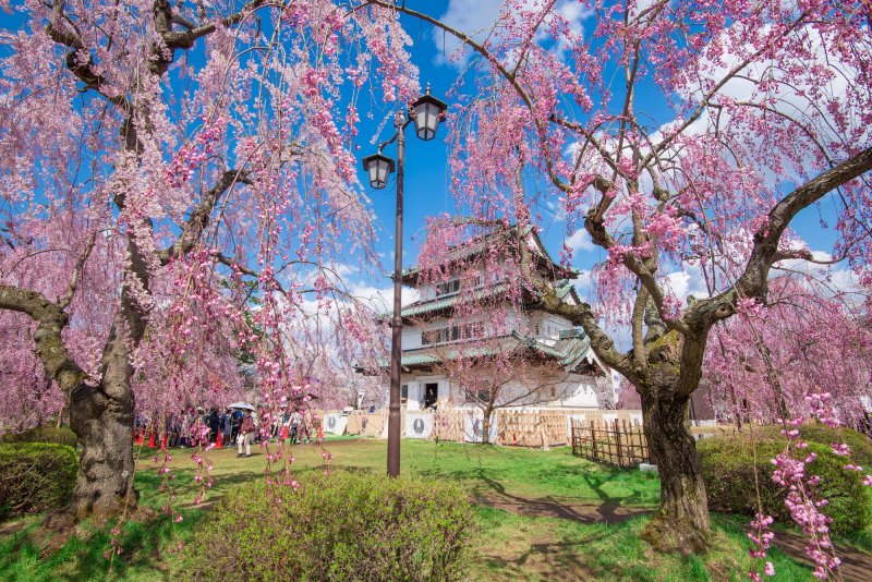 Aomori - Top 10 Attraktionen 2 Die Burg Hirosaki ist zur Kirschblütenzeit besonders beliebt.