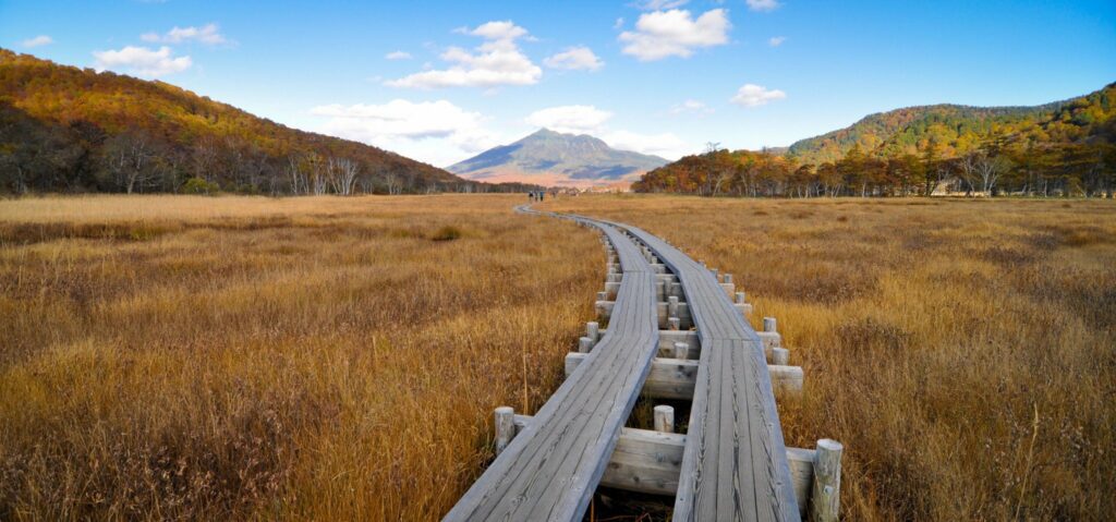Gunma - Top 10 Attraktionen 3 Im Herbst ist der Oze Nationalpark besonders reizvoll.