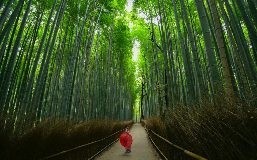 Bambuswald Arashiyama