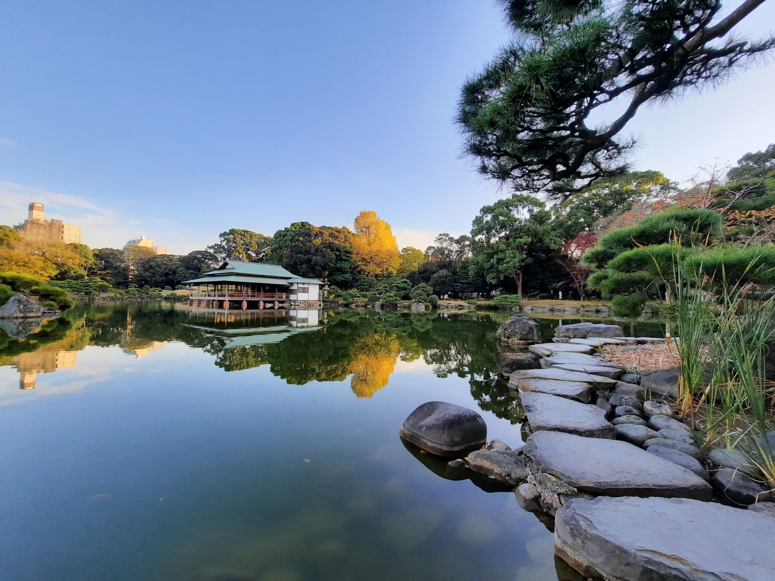 iso-watari im Kiyosumi Garten