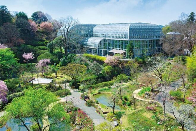 Der Botanische Garten in Makino.