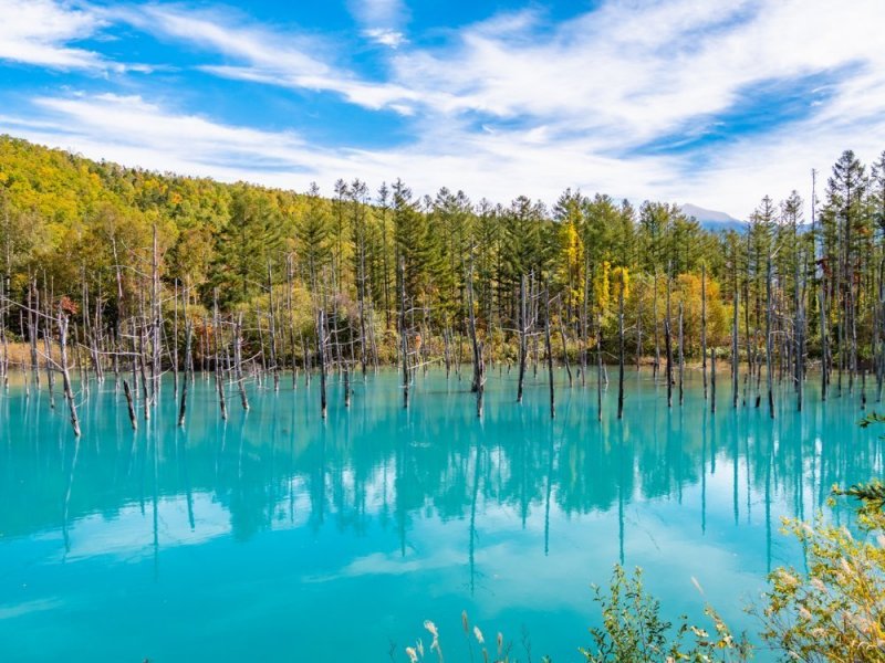 Hokkaido - Top 10 Attraktionen 1 Der blaue Teich in Hokkaido.
