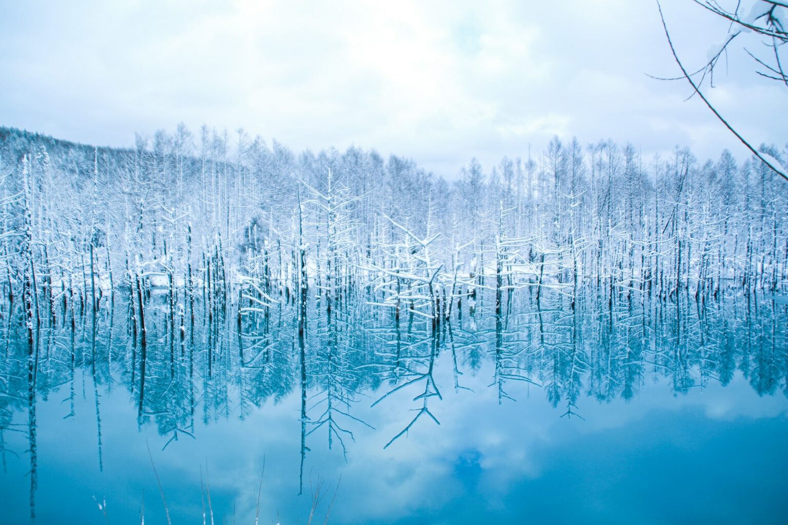 Hokkaido Top 10 Attraktionen JapanTravel