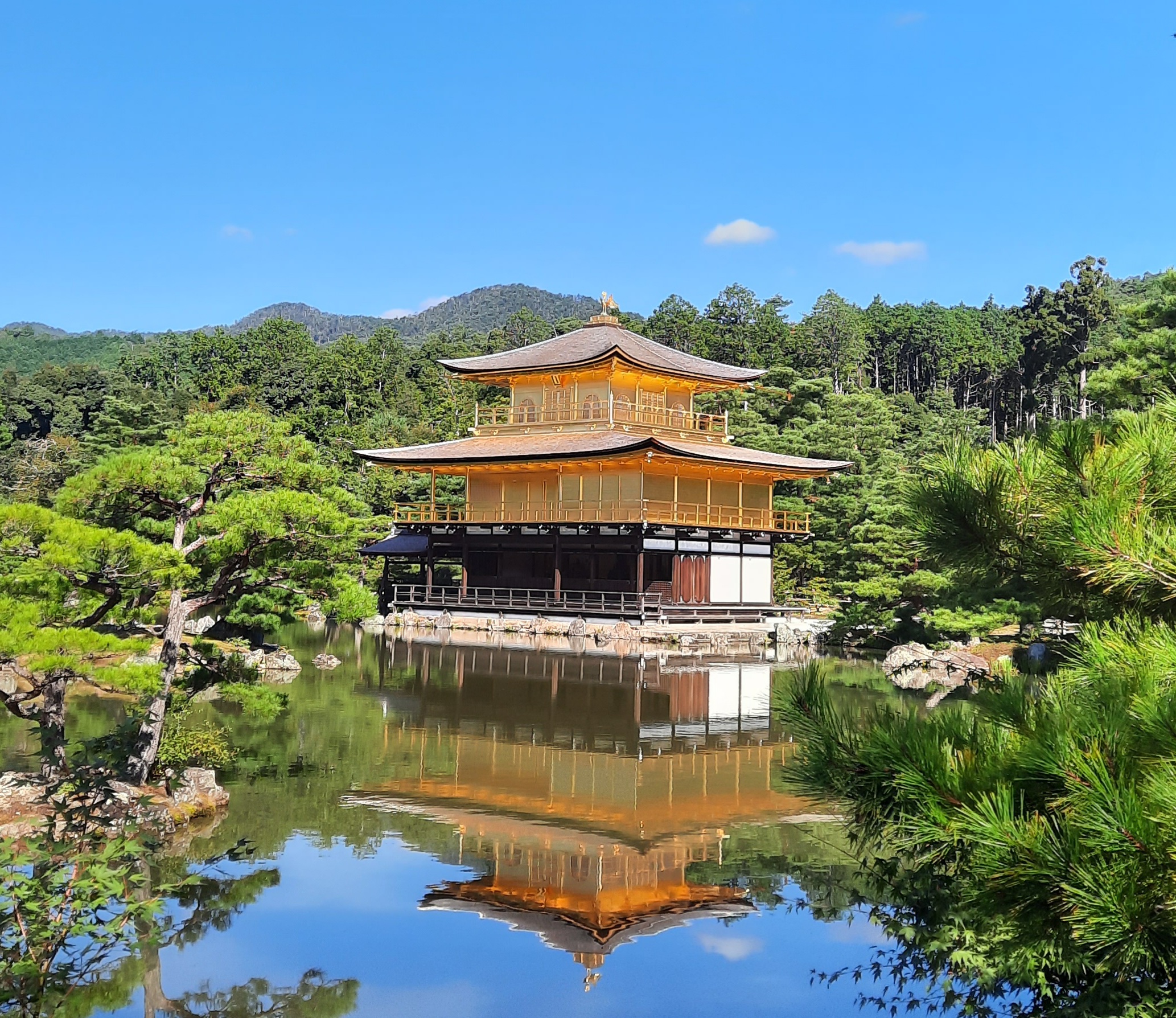 Der Kinkakuji Tempel in Kyoto