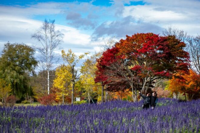 Tokachi Hills Garten im Herbst.