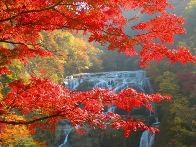 Die Fukuroda Wasserfälle im Herbst.