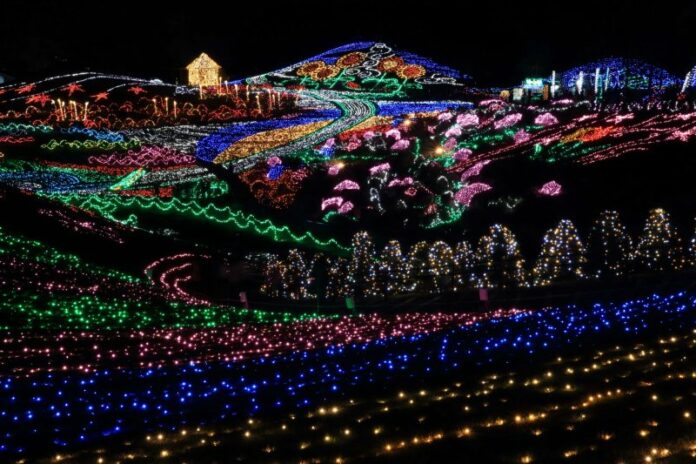 Winter Illuminations beim Winter Fantasy Festival im Sanuki Manno Park
