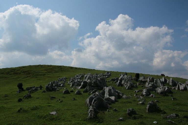 Shikoku Karst Naturpark