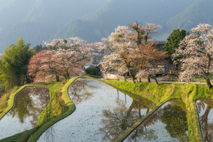 Die Präfektur Mie zeigt das authentische Japan.