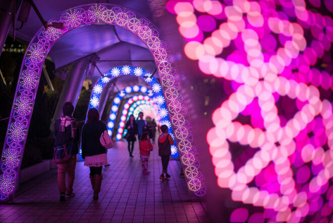 Winter Illuminations: Tokyo Dome City Winter Illumination