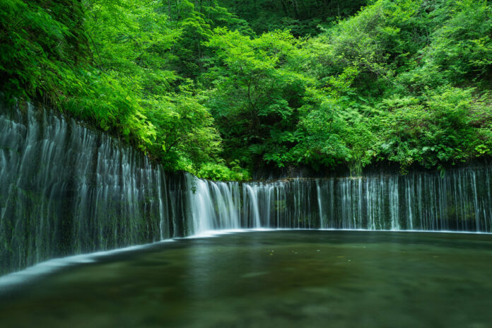 Shiraito Wasserfall