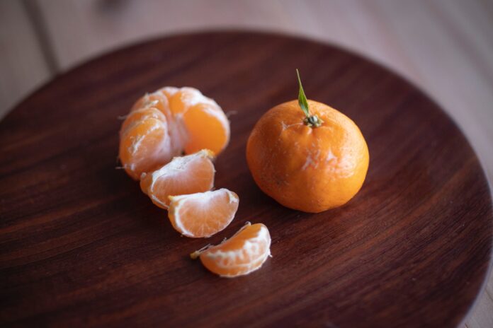 In Tanabe, Wakayama, werden unter anderem Mandarinen angebaut.
