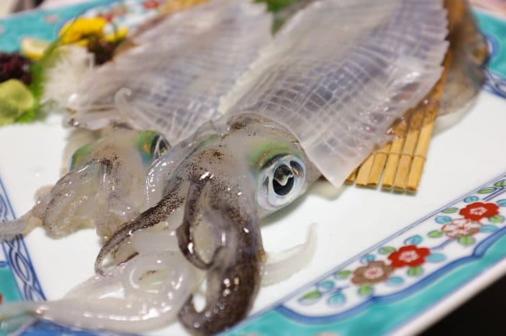 Die durchsichtigen Tintenfische sind eine Spezialität der Präfektur Saga.
