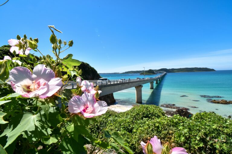 Tsunoshima Insel