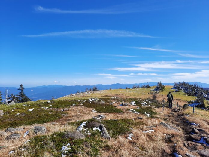 Die bergige Präfektur Nagano überzeugt durch tolle Landschaften