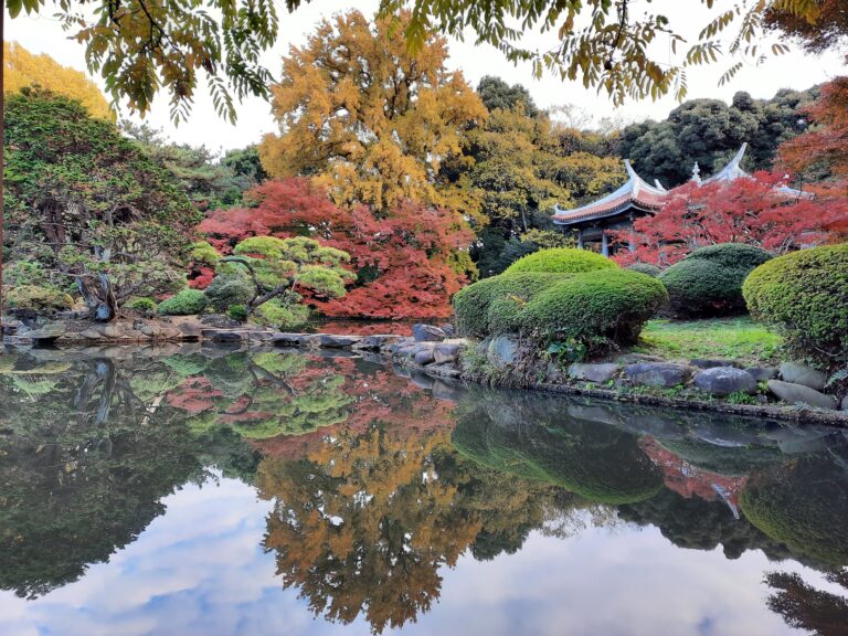 Shinjuku Gyoen