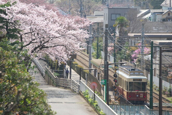 Die Tokyo Sakura Tram im Bezirk Arakawa