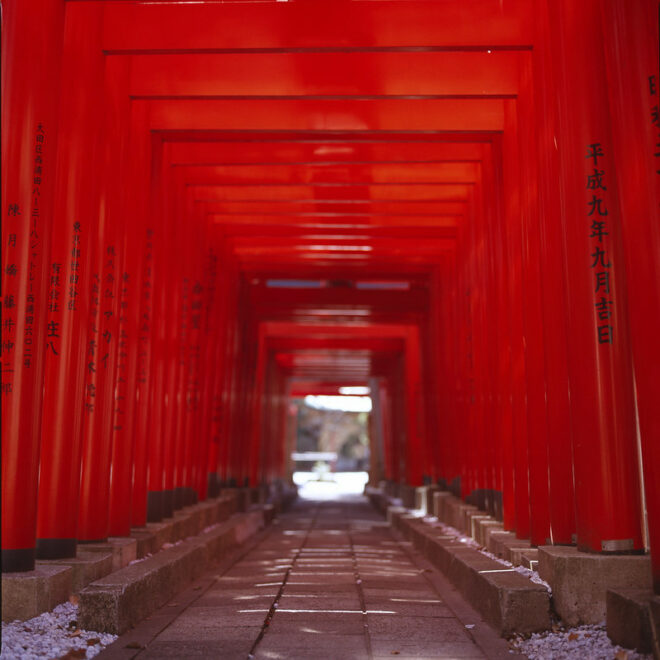 Der torii-Tunnel des Anamori Inari fuhrt zum inneren Teil des Schreins