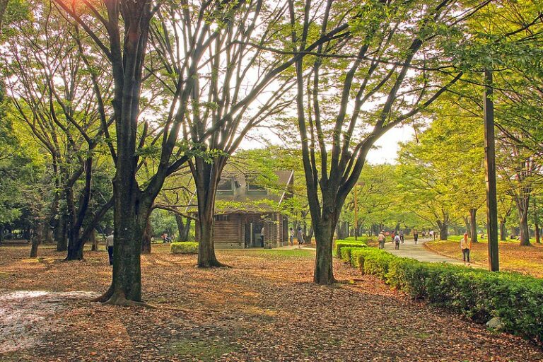 Yoyogi Park