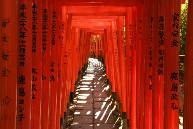 Der torii-Tunnel des Nezu Schreins im Bezirk Bunkyo