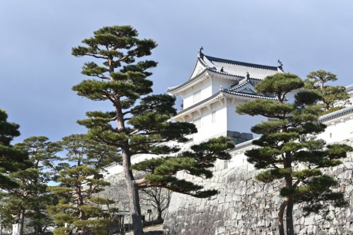 Die Burg Nihonmatsu