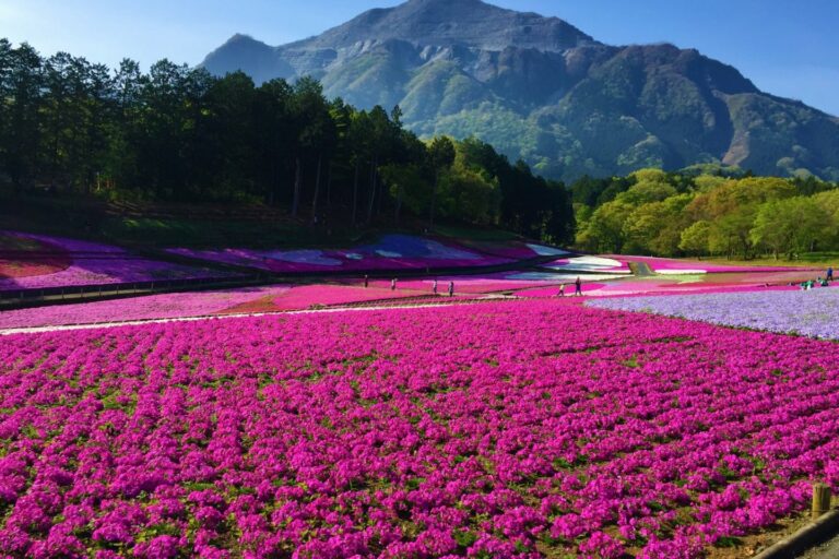 Hitsujiyama Park