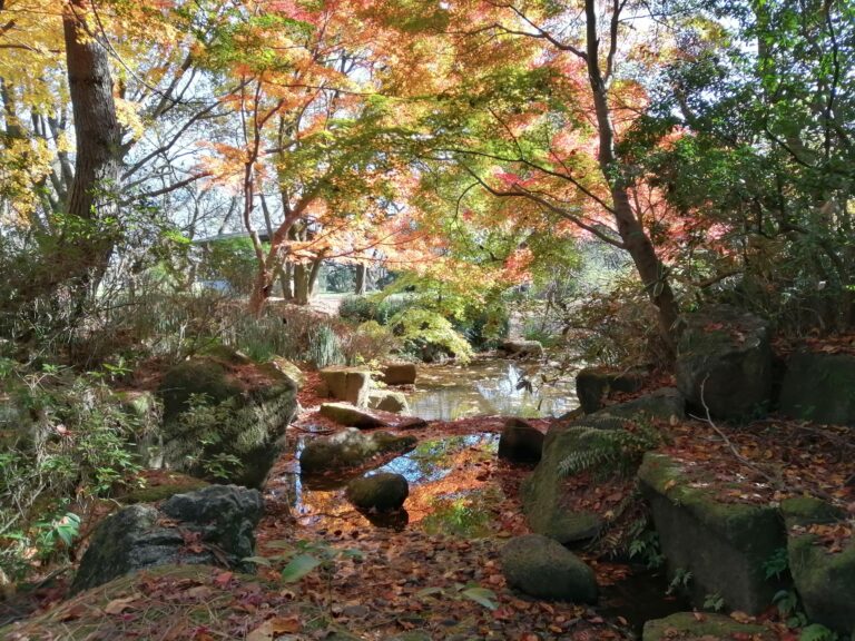 Showa Kinen Park