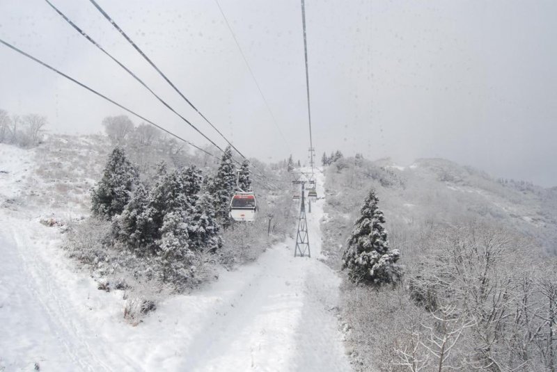 Niigata hat viel Schnee zu bieten