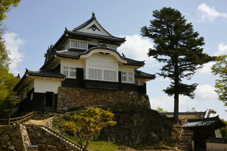Burg Matsuyama (Bitchu)
