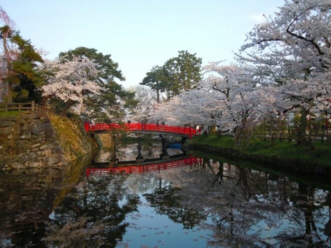 Frühlingsstimmung im Hirosaki Park