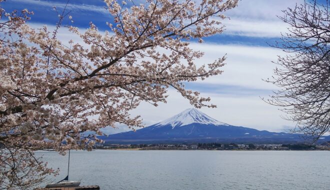 Kawaguchiko: Kirschblüte vor toller Kulisse