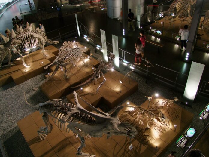 Das Fukui Dinosaurier Museum ist das größte in Japan.