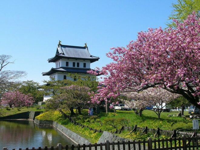 Das Burggelände gehört zu den Top 100 Kirschblüten-Spots in Japan