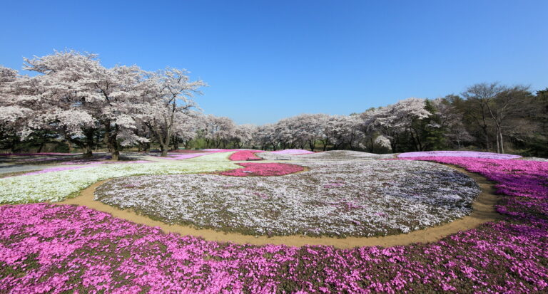 5 Orte im Frühling in Gunma