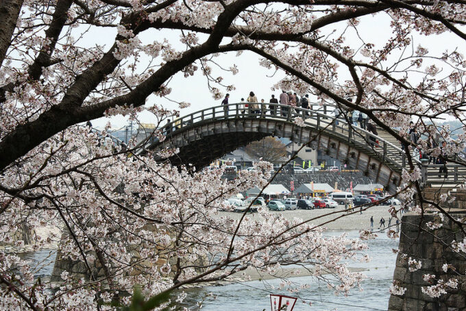 Frühling in Yamaguchi, Japan.