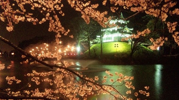 Burg Takada mit Kirschblüten.