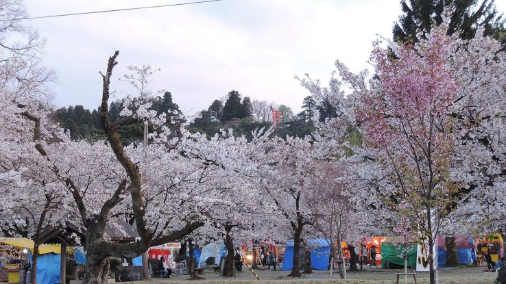 Frühling im Muramatsu Park in Niigata. F