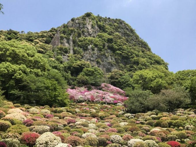 Blütenpracht im Mifuneyama Rakuen.