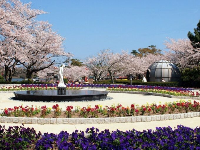 Der Tokiwa Park beim Kirschblütenfest.