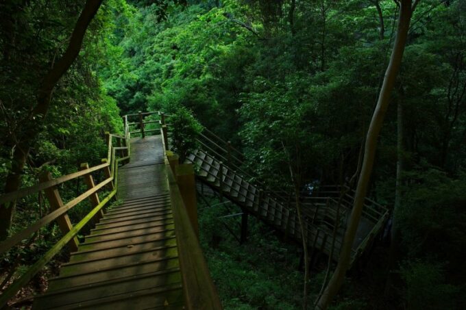 Der Wanderpfad führt teilweise über Holztreppen und Hängebrücken.
