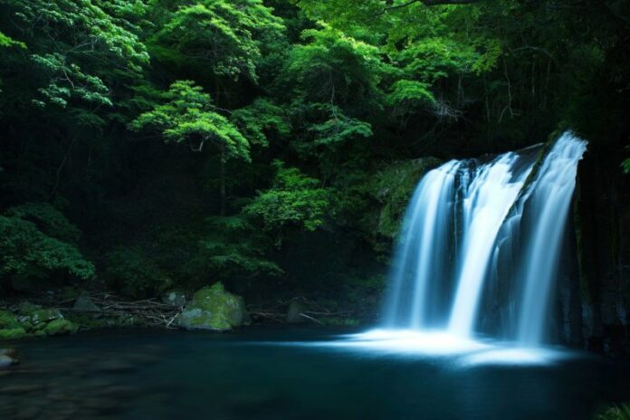 Die Kawazu Nanadaru Wasserfälle sind eine Attraktion in Izu.