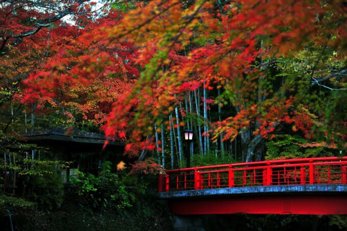 Shuzenji Onsen ist gerade im Herbst wunderschön.