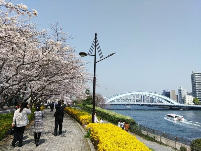 Der Sumida Park bietet Erholung in der Großstadt.