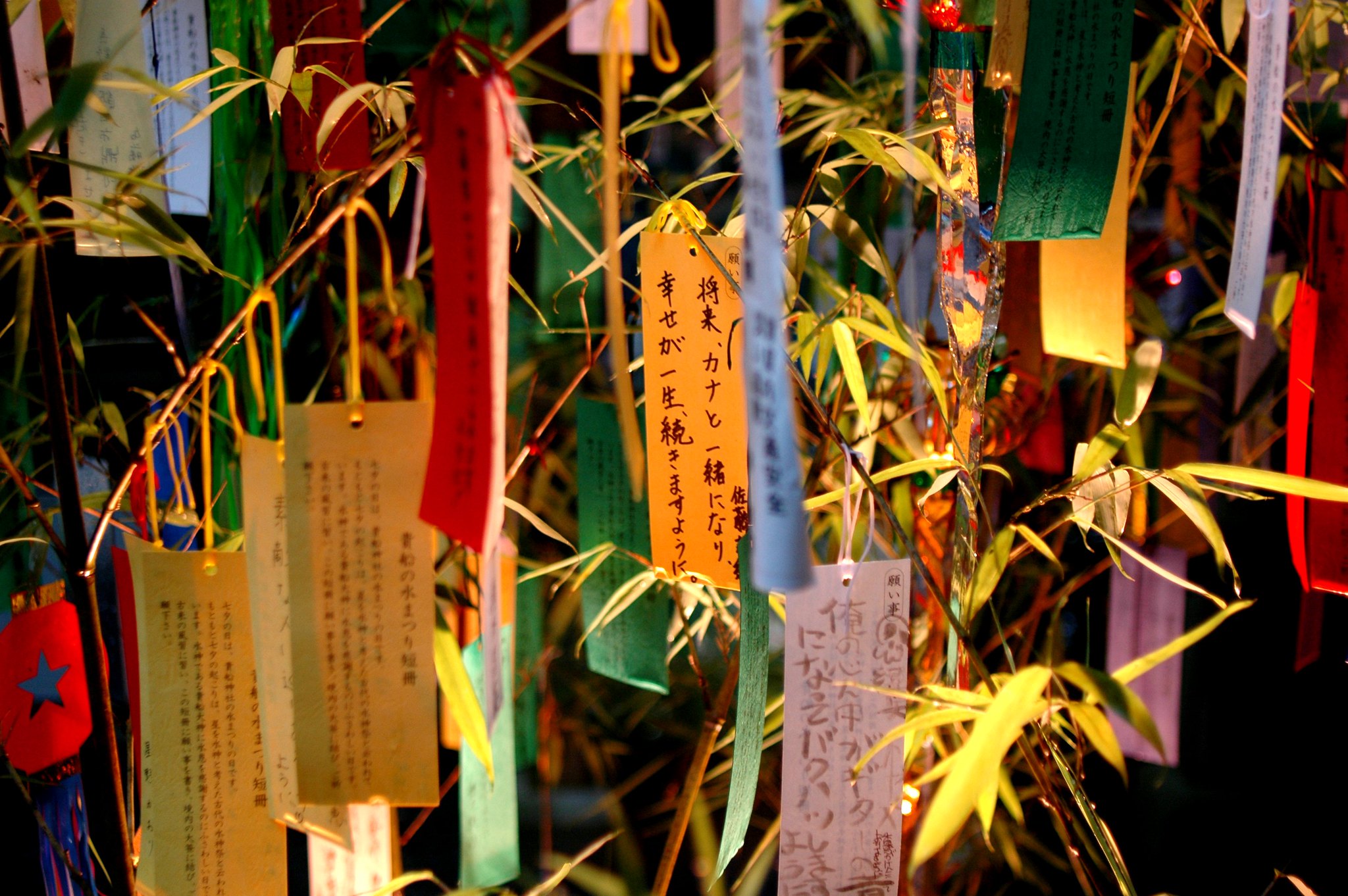 Bambus mit "Tanzaku" Wunschzettel (Foto Yuki Yaginuma, Flickr)