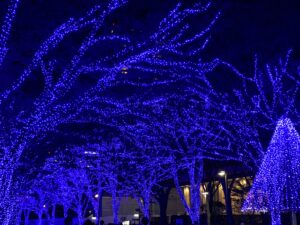 Die Blaue Grotte "Ao no Doukutsu" Illumination in Shibuya 2023 (Foto von Kira Trinh)
