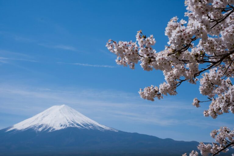 Was die meisten mit Japan verbinden: Den Berg Fuji und Kirschblüten (Foto von Daniel Hehn on Unsplash)