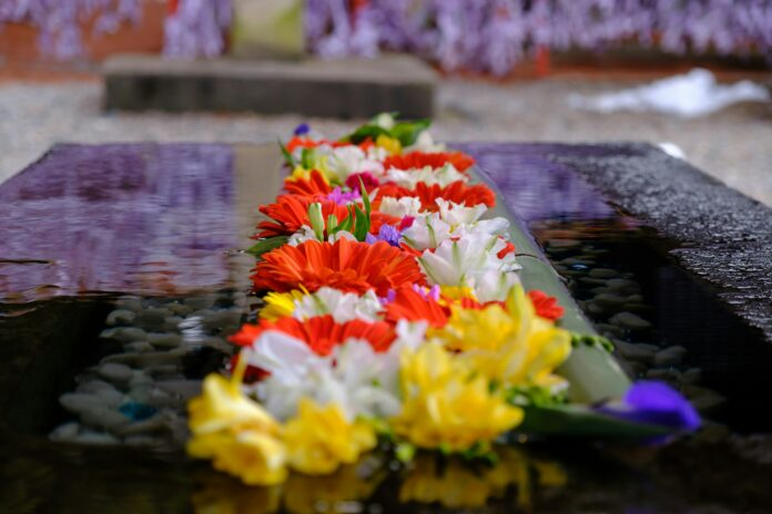 Je nach Jahreszeit etwas anders, ein Chozuza Wasserbecken. Saisonalität wird in Japan großgeschrieben. (Foto von Fumiaki Hayashi on Unsplash)