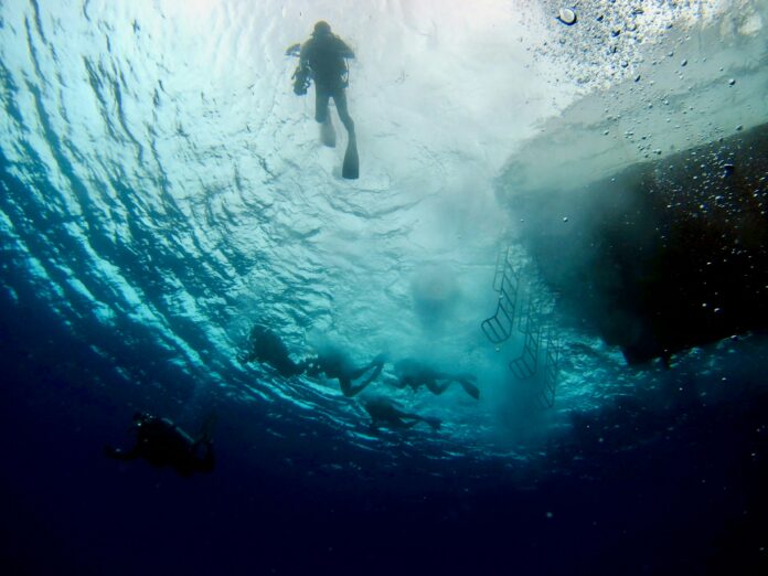 Entdecken Sie die Unterwasserwelt von Okinawa (Foto von: Hiroko Yoshii on Unsplash)