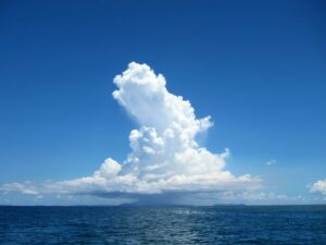 Auch die Meeresgiganten lieben das azurblaue Wasser rund um die Inseln von Okinawa (Foto von: Hiroko Yoshii on Unsplash)